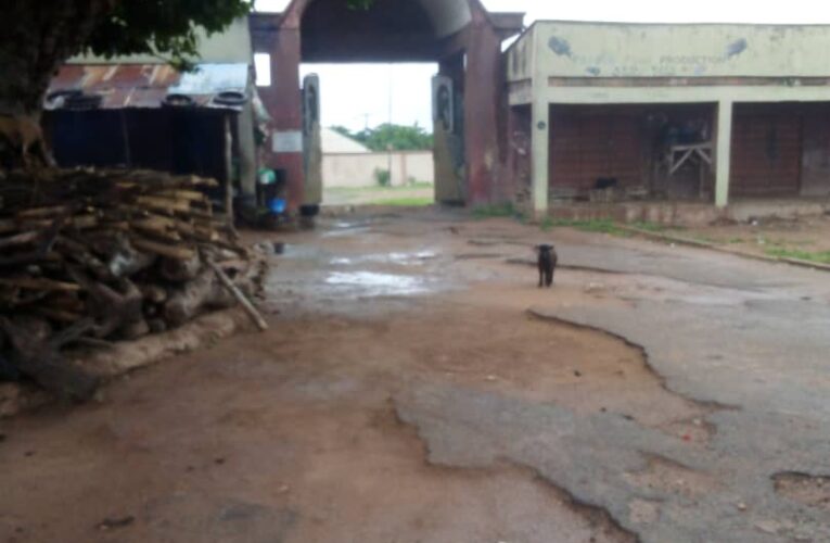 Onikoyi Stool: Community Appeals for Governor Makinde’s Intervention