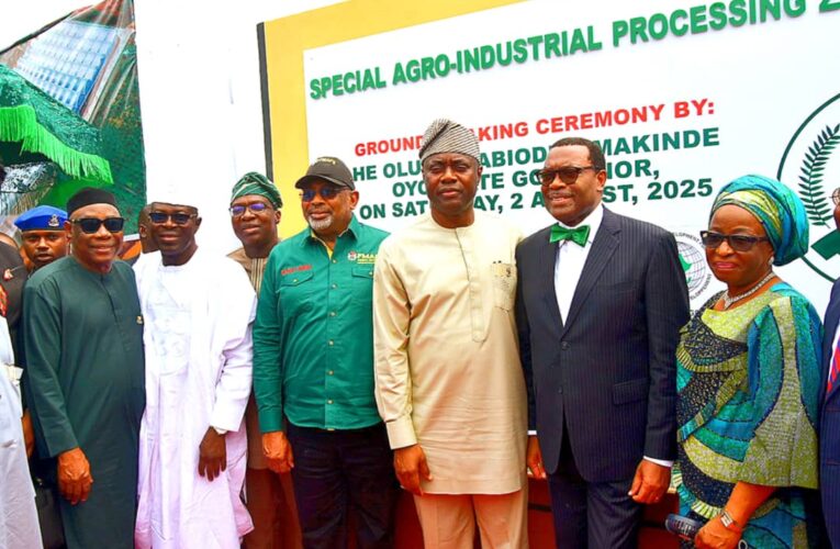 Shettima, AfDB president, Makinde break ground for Ijaiye Agribusiness Devt Hub