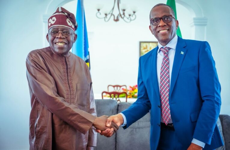 Backlash Against Tinubu’s Visit To Saint Lucia Shameful, Rooted In Self-Hate– PM