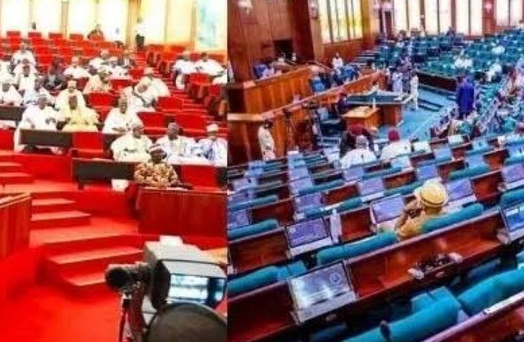 Lawmakers Pay Up To ₦3M ‘Bribe’ To Present Motions, Bills At NASS – Usman Auyo