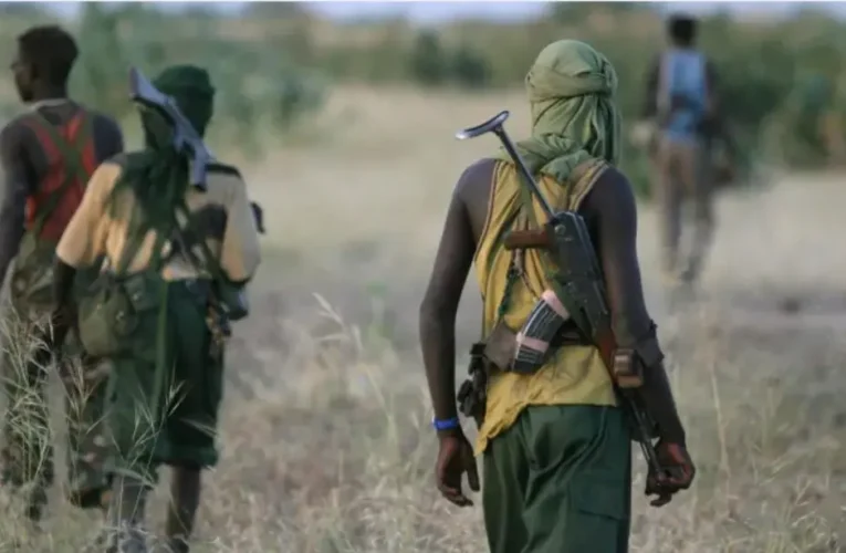 Gunmen ambush, kill two mobile police officers
