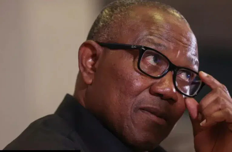 You Have Lost Credibility, Pause And Reflect – Lagos LP Chair Tackles Peter Obi