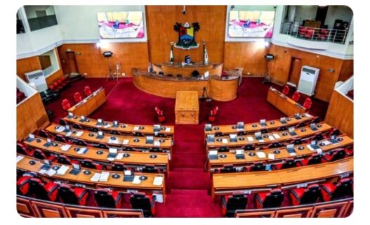 Assembly Demands Withdrawal Of Appointments, Summons HOS