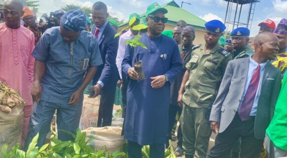Oyo Govt reaffirms commitment to agricultural transformation, food security