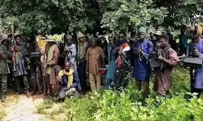 Bandits abduct bride, bridesmaids, over 30 women in Sokoto wedding 