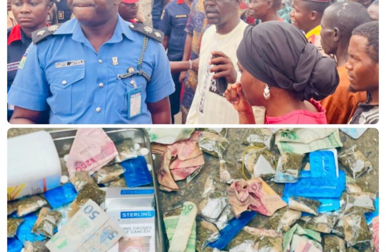 Two arrested with narcotic as Olatunji leads joint security taskforce against criminal elements in Oluyole LG