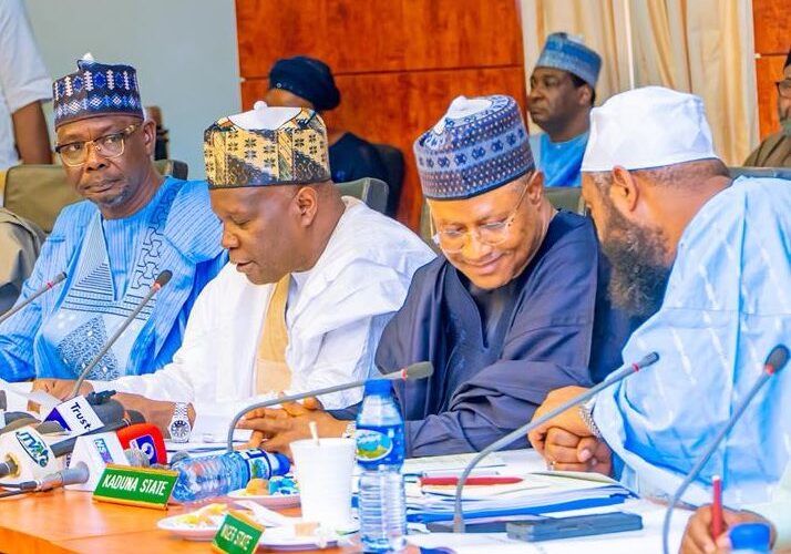 Mining Ban, ₦1 Billion Monthly Security Fund, Other Actions From Northern Govs’ Security Meeting