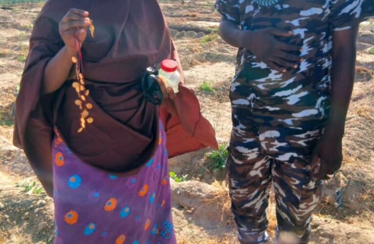 Borno Woman Recovers N23m Gold She Buried 15 Years Ago During Boko Haram(photos) 