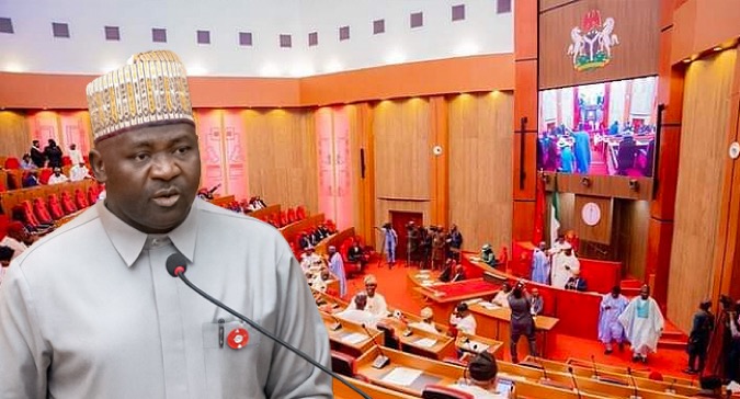 Senate Confirms Ex-CDS Christopher Musa as Defence Minister