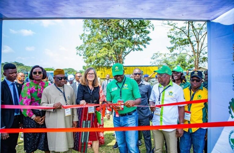2025 Agribusiness Int’l Summit: We’ve transformed agriculture through institutional reforms –Makinde 