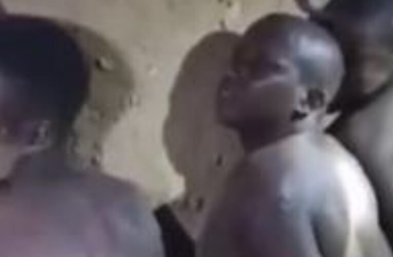 Nabbed men are Miyetti Allah members from NSA Ribadu led security operation 