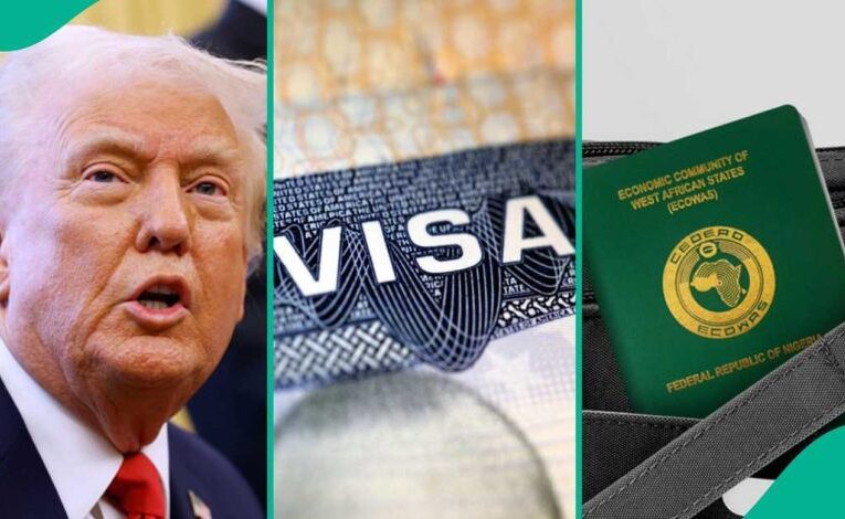 US Stops Green Card, Citizenship Applications For Nigerians
