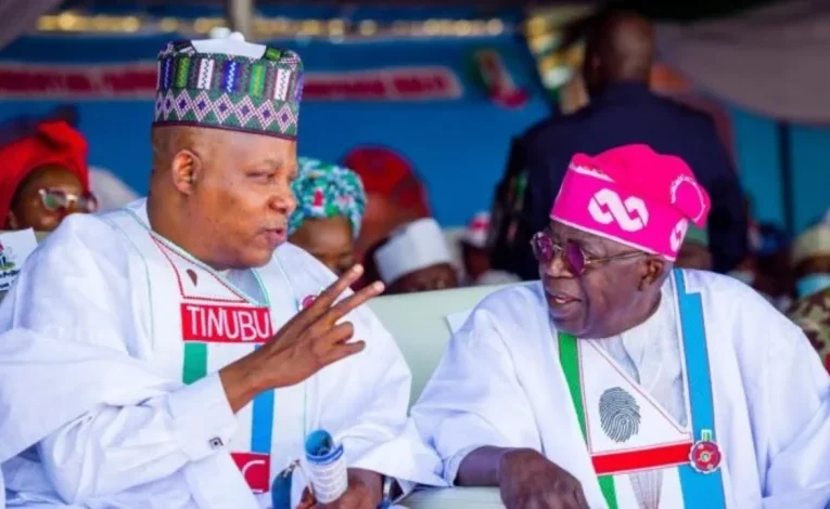 2027: Dropping Shettima Could Strengthen Opposition, North-Central APC Warns Tinubu