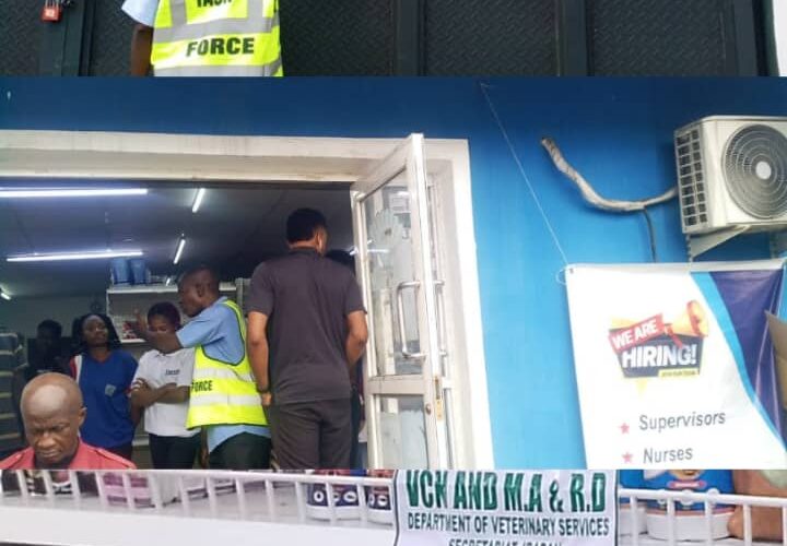 Oyo Govt Arraigns 5 Pet Store Owners Over Veterinary Law Violations 