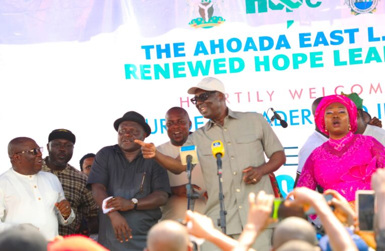 If you truly love President Tinubu, deliver your state for him, Ex Reps Deputy Speaker