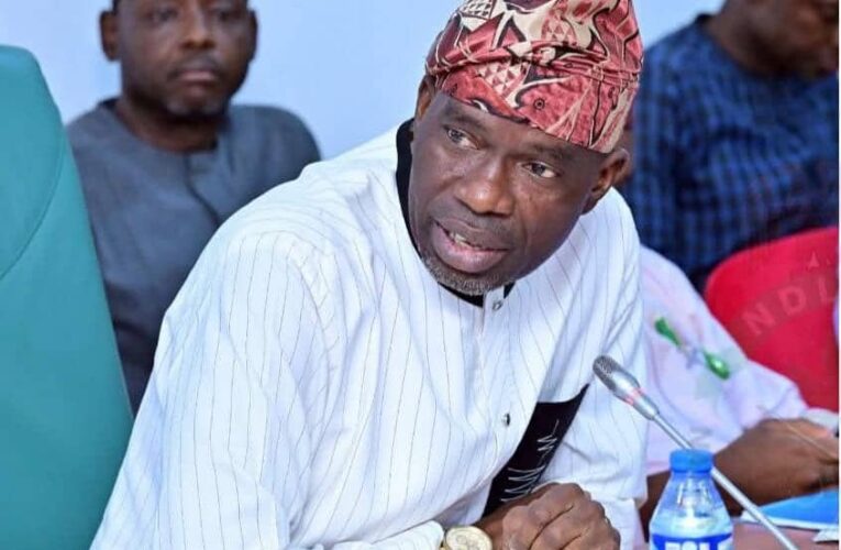 NDLEA Budget: Agboworin Says N75.6bn Cannot Tackle Nigeria’s Drug Crisis, Warns Of Looming Security Crisis 