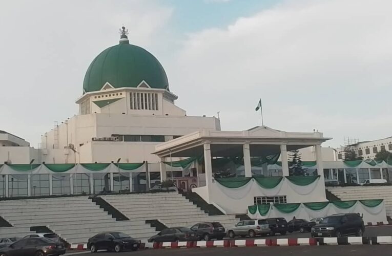 Emergency Plenary: N’Assembly moves to shift presidential poll to Feb 13 