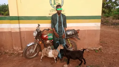 Man arrested during naming ceremony of his child in church for stealing three goats