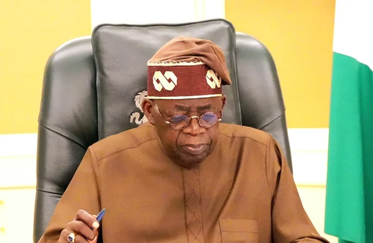 Nigeria Extends Ban On Raw Shea Nut Exports 