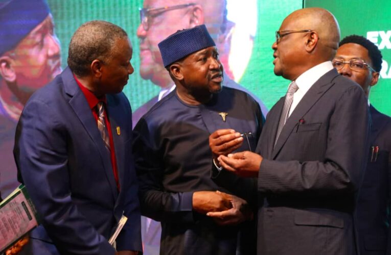 Gusau says Wike’s bold governance, infrastructure renewal in FCT exemplary