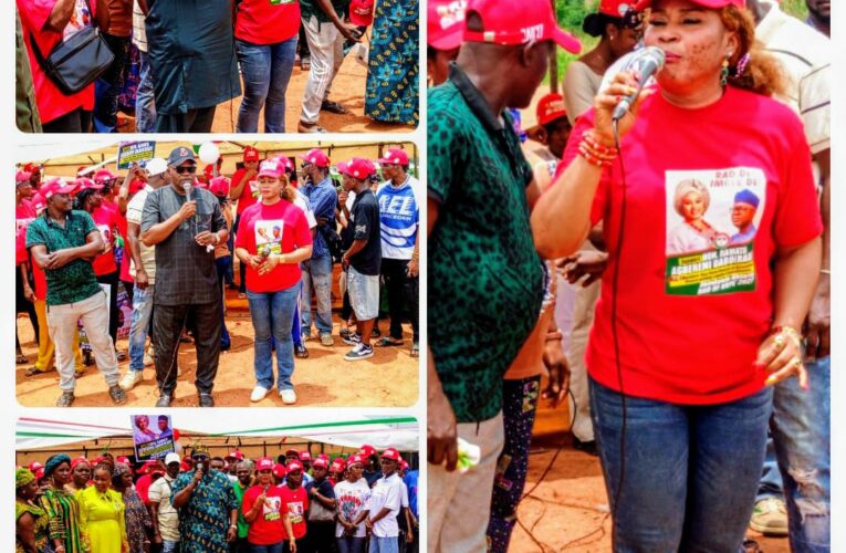 2027: PDP stakeholders advocate slot for women as ‘RAD’ officially declares bid for Oyo Assembly