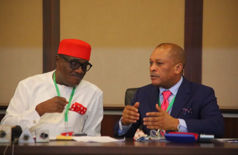 Enough of Litigations’, PDP declares as BoT moves for unity