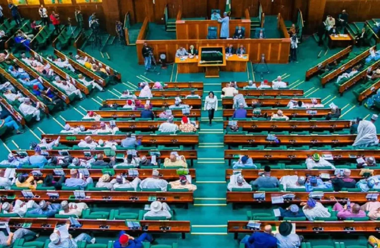 BREAKING: Reps amend Electoral Act, prescribe jail term for dual party membership