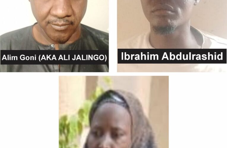 Court Sentences Three To 10-Year Jail Term For Arms Trafficking