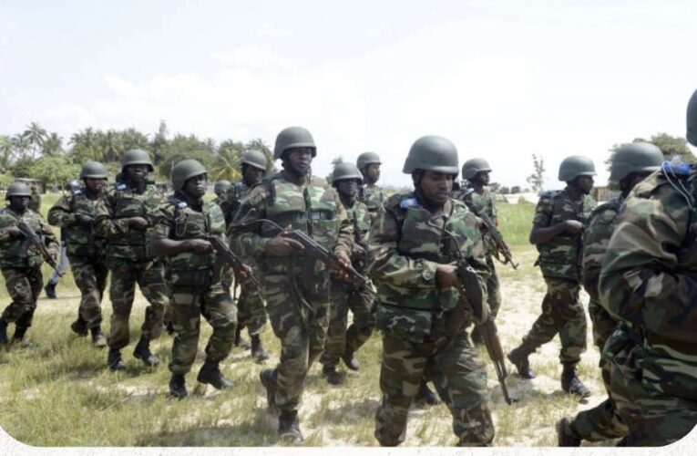 Boko Haram Attacks: ‘Nigerian Soldiers Withdrew From Borno Towns Over Shortage Of Ammunition’ — Senator