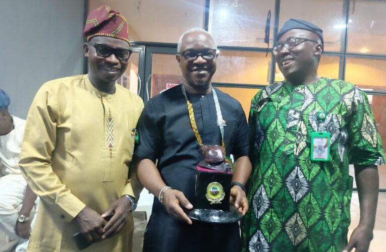 Ibadan Cultural Festival: Wolekanle Bags Prestigious Heritage Award