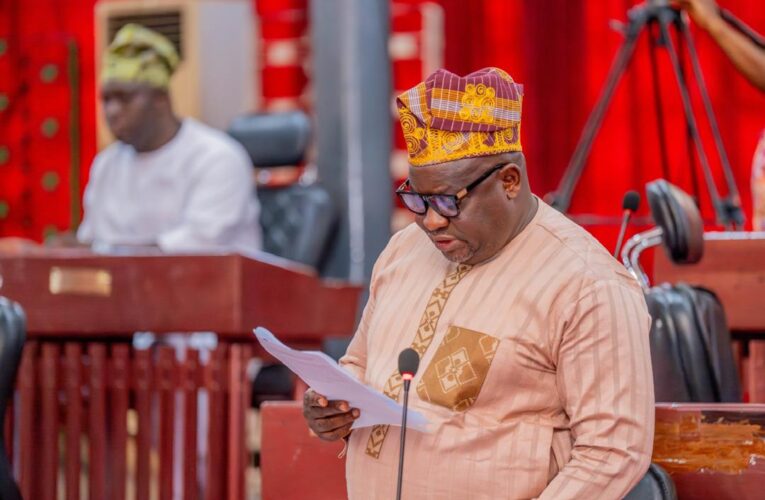 Provide Additional Support for Farmers Ahead of Next Planting Season to Ensure Food Security in Oyo — Sanjo Adedoyin