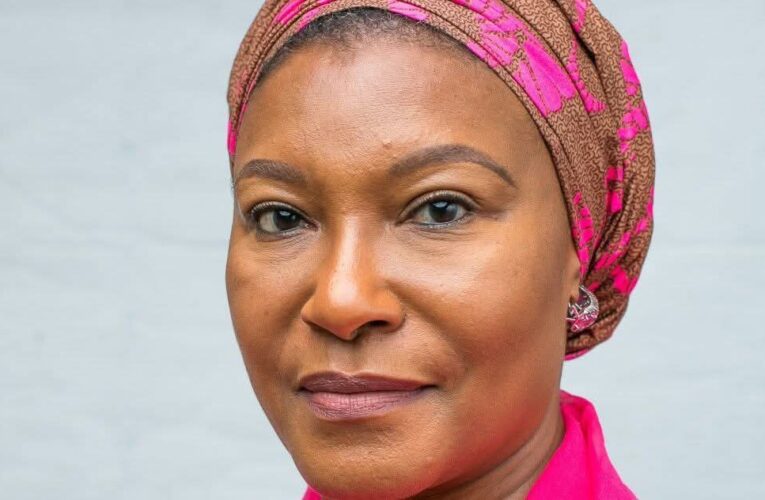 Exposed! Senator Ireti Kingibe Collected $65,000 For A Contract That Never Existed, Dragged To ICPC As Businessman Alleges She Used Her Office To Defraud Him