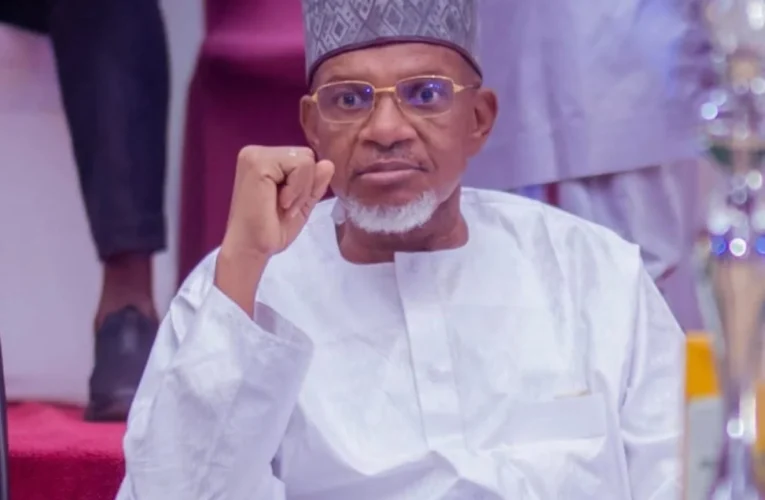Northern govs mourn Speaker’s death