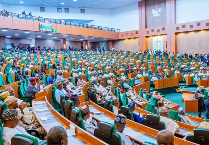Reps Okay ₦248.64 Billion Relief, 10-Year Debt Restructuring For DISCOs