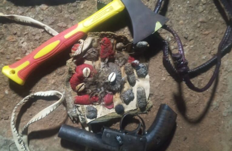 Cult Gang Busted In Ilaro, Ogun As Police Nab 4, Recover Weapon & Loot 