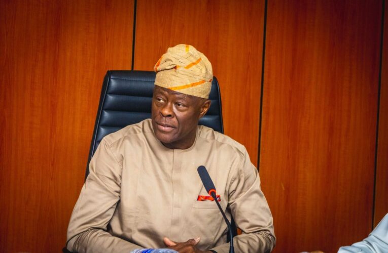 Wale Edun Speaks After His Removal: I’m Proud Of My Achievements As Finance Minister
