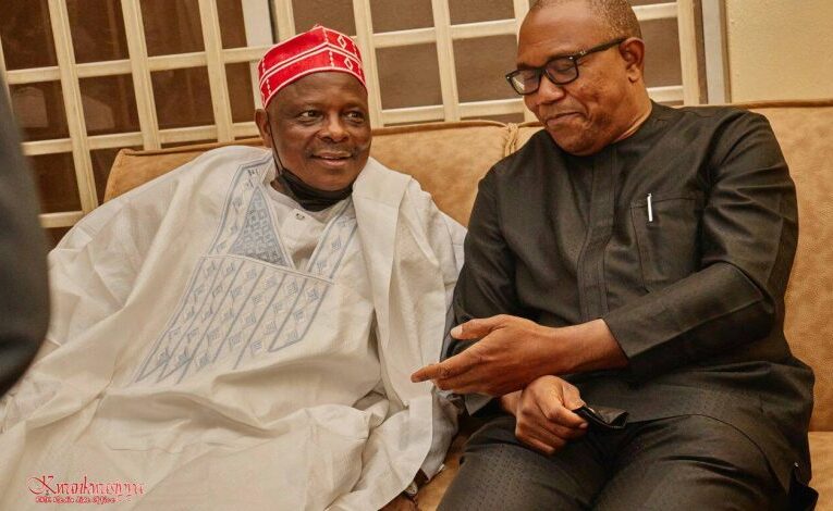 Peter Obi, Kwankwaso push for joint ticket in ADC, lobby northern leaders