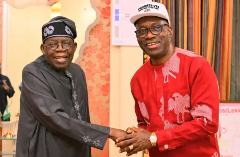 We’re Backing Only Tinubu’s Re-Election, Not APC Aspirants — APGA Chieftain