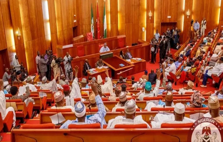Reps Approve Tinubu’s $516 Million Loan Request