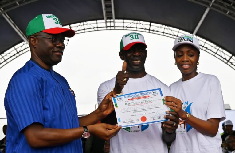 Makinde calls for expedited action on state police creation