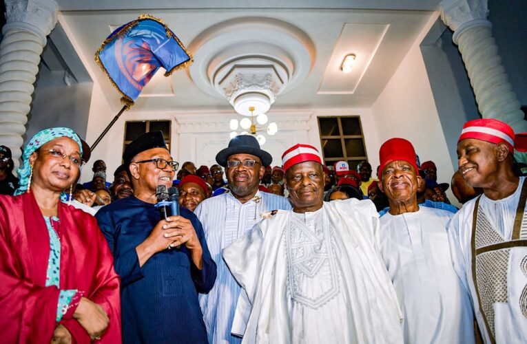 Urgent Need To Rescue Nigeria Made Me Leave ADC For NDC – Peter Obi