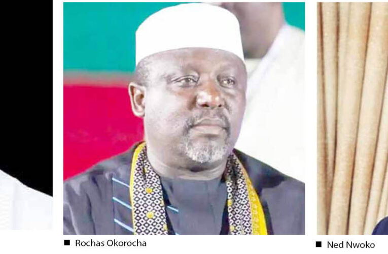 APC Primaries: Rochas, Ned Nwoko lose as Akpabio, 4 Govs win 
