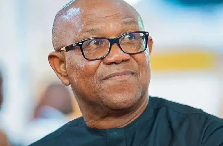 Peter Obi Emerges Sole Presidential Aspirant Of NDC