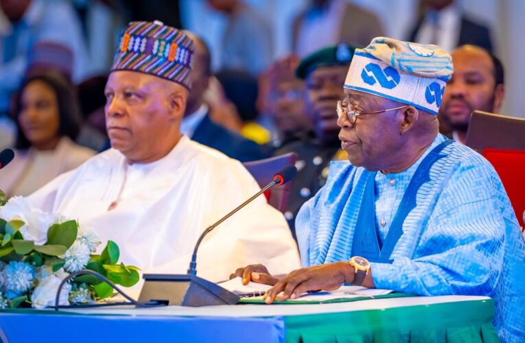 Anxiety As Shettima Waits On Tinubu’s Running Mate Decision
