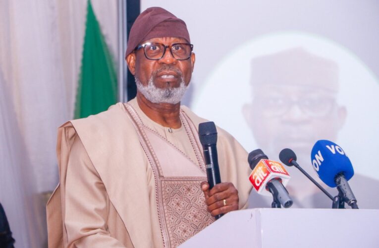 FG Announces ‘World-Class’ Mineral Discovery in Kaduna, Cites $2.6B in Processing Investments