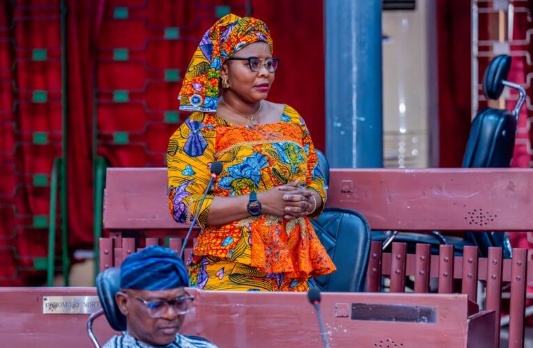 Oyo Lawmaker Bisi Oluranti Condemns Oriire Abduction, Attack on Immigration Office