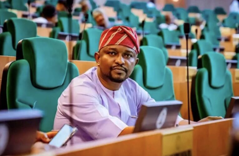 Democracy Day: Folajimi Oyekunle Hails New Minority Leadership, Calls for Constructive Opposition