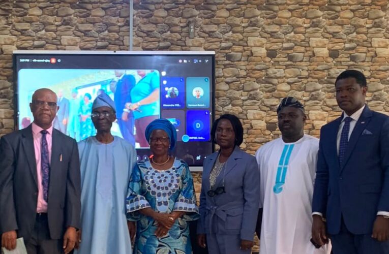 Energy Reforms Will Fail Without Research Investment, Afonja Warns