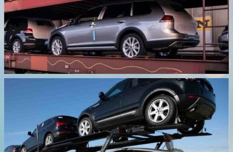 Vehicle Import Levy Reduction Takes Effect As New Fiscal Measures Commence