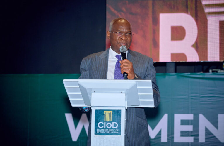 Fashola: Lagos Discounted Land for Dangote Refinery to Secure $19 Billion Investment